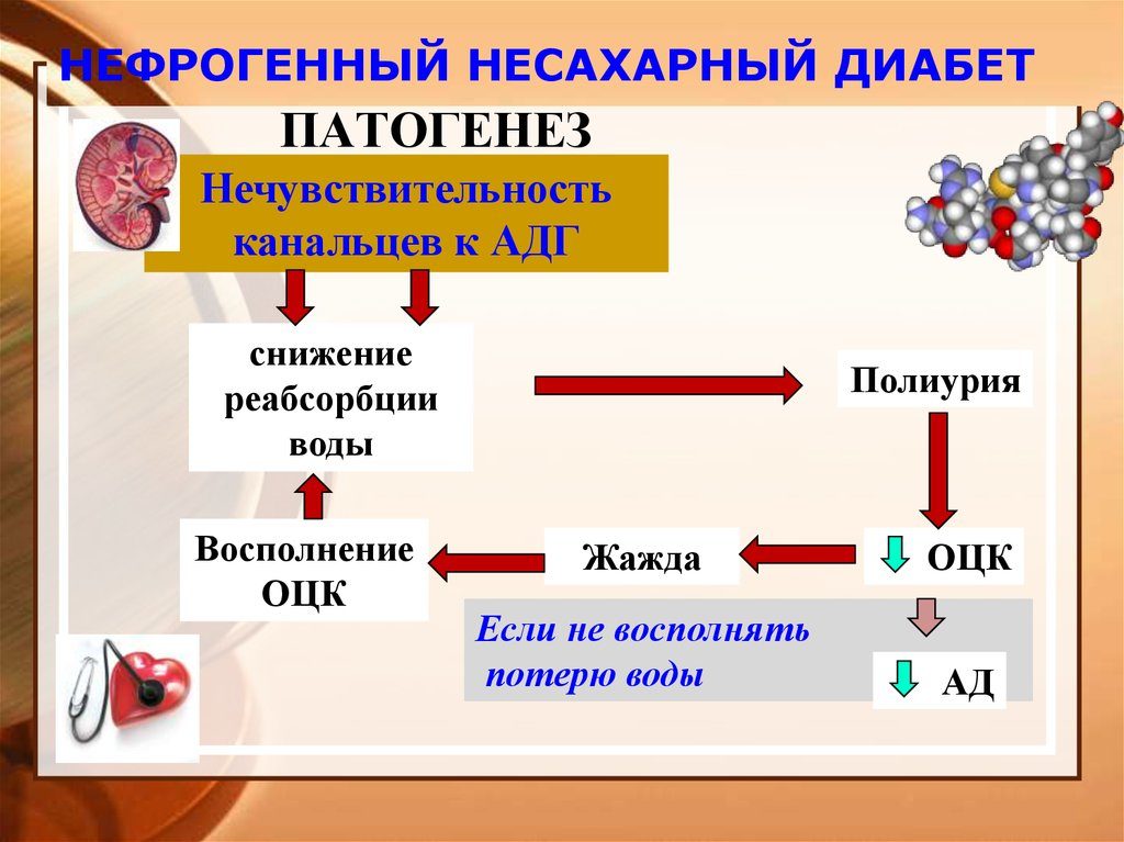 несахарный диабет у собак симптомы