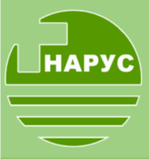 Нарус на ул. Дружбы 